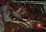 Image of survival techniques Philippines, 1968, second 55 stock footage video 65675072403