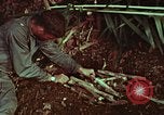 Image of survival techniques Philippines, 1968, second 56 stock footage video 65675072403