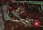 Image of survival techniques Philippines, 1968, second 57 stock footage video 65675072403