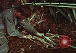 Image of survival techniques Philippines, 1968, second 58 stock footage video 65675072403