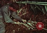 Image of survival techniques Philippines, 1968, second 60 stock footage video 65675072403