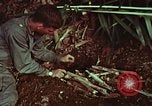 Image of survival techniques Philippines, 1968, second 61 stock footage video 65675072403