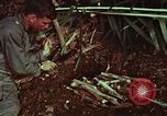 Image of survival techniques Philippines, 1968, second 62 stock footage video 65675072403