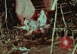 Image of survival techniques Philippines, 1968, second 1 stock footage video 65675072404