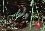 Image of survival techniques Philippines, 1968, second 3 stock footage video 65675072404