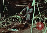 Image of survival techniques Philippines, 1968, second 5 stock footage video 65675072404