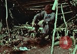 Image of survival techniques Philippines, 1968, second 8 stock footage video 65675072404