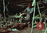 Image of survival techniques Philippines, 1968, second 9 stock footage video 65675072404