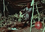 Image of survival techniques Philippines, 1968, second 10 stock footage video 65675072404