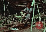 Image of survival techniques Philippines, 1968, second 11 stock footage video 65675072404
