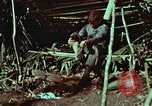 Image of survival techniques Philippines, 1968, second 12 stock footage video 65675072404