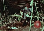 Image of survival techniques Philippines, 1968, second 13 stock footage video 65675072404