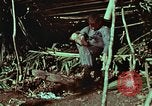 Image of survival techniques Philippines, 1968, second 14 stock footage video 65675072404