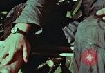 Image of survival techniques Philippines, 1968, second 21 stock footage video 65675072404