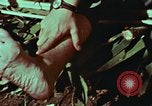 Image of survival techniques Philippines, 1968, second 22 stock footage video 65675072404
