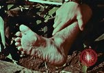Image of survival techniques Philippines, 1968, second 23 stock footage video 65675072404