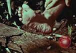 Image of survival techniques Philippines, 1968, second 24 stock footage video 65675072404
