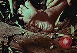 Image of survival techniques Philippines, 1968, second 25 stock footage video 65675072404