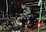 Image of survival techniques Philippines, 1968, second 30 stock footage video 65675072404