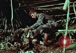 Image of survival techniques Philippines, 1968, second 31 stock footage video 65675072404