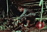 Image of survival techniques Philippines, 1968, second 32 stock footage video 65675072404