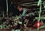 Image of survival techniques Philippines, 1968, second 33 stock footage video 65675072404