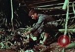 Image of survival techniques Philippines, 1968, second 34 stock footage video 65675072404