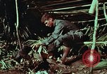Image of survival techniques Philippines, 1968, second 35 stock footage video 65675072404
