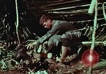 Image of survival techniques Philippines, 1968, second 36 stock footage video 65675072404