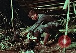 Image of survival techniques Philippines, 1968, second 37 stock footage video 65675072404