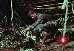 Image of survival techniques Philippines, 1968, second 38 stock footage video 65675072404