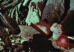 Image of survival techniques Philippines, 1968, second 40 stock footage video 65675072404