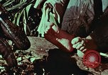 Image of survival techniques Philippines, 1968, second 41 stock footage video 65675072404