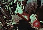 Image of survival techniques Philippines, 1968, second 42 stock footage video 65675072404