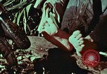 Image of survival techniques Philippines, 1968, second 43 stock footage video 65675072404