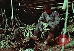 Image of survival techniques Philippines, 1968, second 44 stock footage video 65675072404