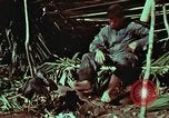 Image of survival techniques Philippines, 1968, second 45 stock footage video 65675072404