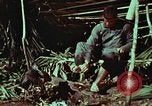 Image of survival techniques Philippines, 1968, second 46 stock footage video 65675072404