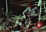 Image of survival techniques Philippines, 1968, second 47 stock footage video 65675072404