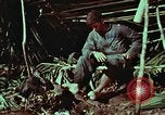 Image of survival techniques Philippines, 1968, second 48 stock footage video 65675072404