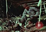 Image of survival techniques Philippines, 1968, second 49 stock footage video 65675072404