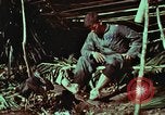 Image of survival techniques Philippines, 1968, second 50 stock footage video 65675072404