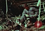 Image of survival techniques Philippines, 1968, second 52 stock footage video 65675072404