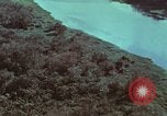Image of survival techniques Philippines, 1968, second 8 stock footage video 65675072405