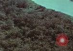 Image of survival techniques Philippines, 1968, second 10 stock footage video 65675072405