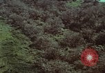 Image of survival techniques Philippines, 1968, second 12 stock footage video 65675072405