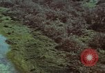 Image of survival techniques Philippines, 1968, second 13 stock footage video 65675072405