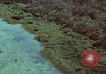 Image of survival techniques Philippines, 1968, second 14 stock footage video 65675072405