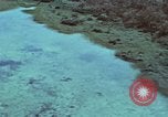 Image of survival techniques Philippines, 1968, second 15 stock footage video 65675072405
