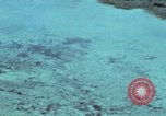 Image of survival techniques Philippines, 1968, second 16 stock footage video 65675072405